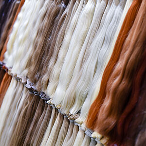 Eine Reihe von abgeschnittenen Zöpfen zum Haare spenden in verschiedenen Haarfarben
